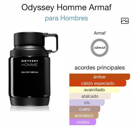 Odyssey homme