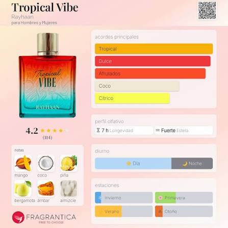 tropical vibe